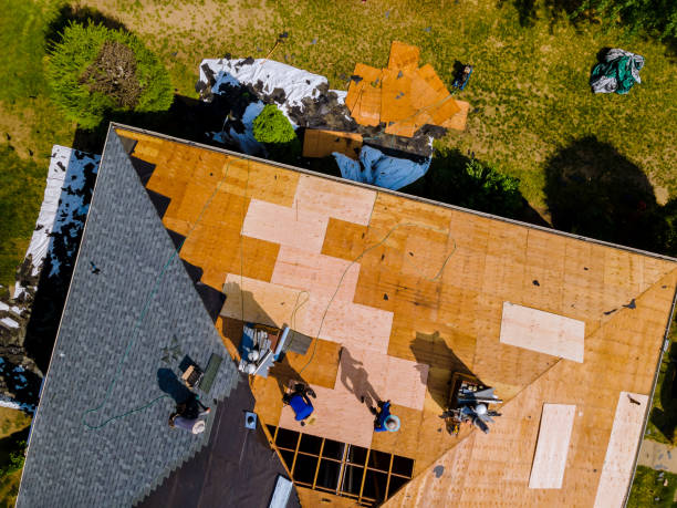Best Gutter Installation and Roofing  in Bellwood, VA