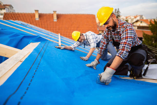 Best Roof Repair Services  in Bellwood, VA