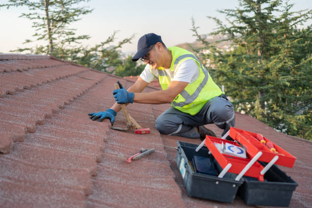 Best Roof Maintenance Services  in Bellwood, VA