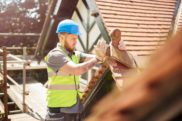 Gutter Installation and Roofing in Bellwood, VA