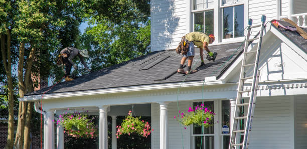 Roof Gutter Cleaning in Bellwood, VA